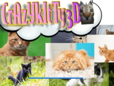 /data/image/game/crazy-kitty-3d-min-4.png