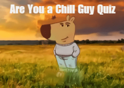 Are You a Chill Guy Quiz 