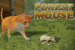 Forest Mouse 