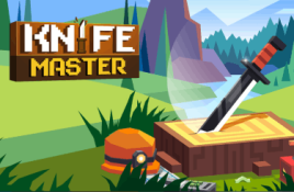 Knife Master 