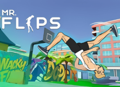 Mr. Flip