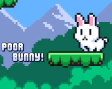 Poor Bunny