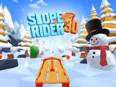 Slope Rider 3D 