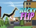 /data/image/game/wackyflip1.png