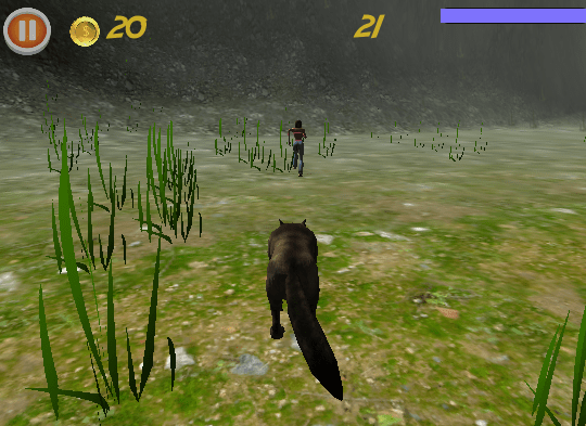 Crazy Animal City