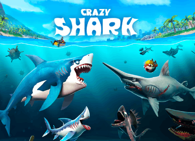 Crazy Shark