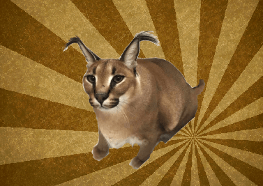 Floppa Clicker
